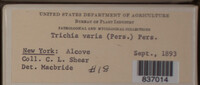 Image Associated With the Occurence